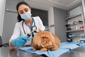 Cuidado Total com o Pet e com a Gestão: O Sistema para Clínica Veterinária Essencial!